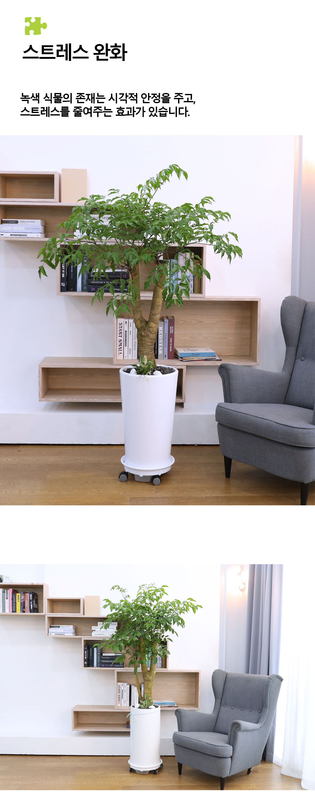 Çູ°ú ±àÁ¤ÀûÀÎ ±â¿îÀÇ ½Ä¹° - ÇØÇÇÆ®¸®(Ư´ë) ²ÉÁý ²É¹è´Þ