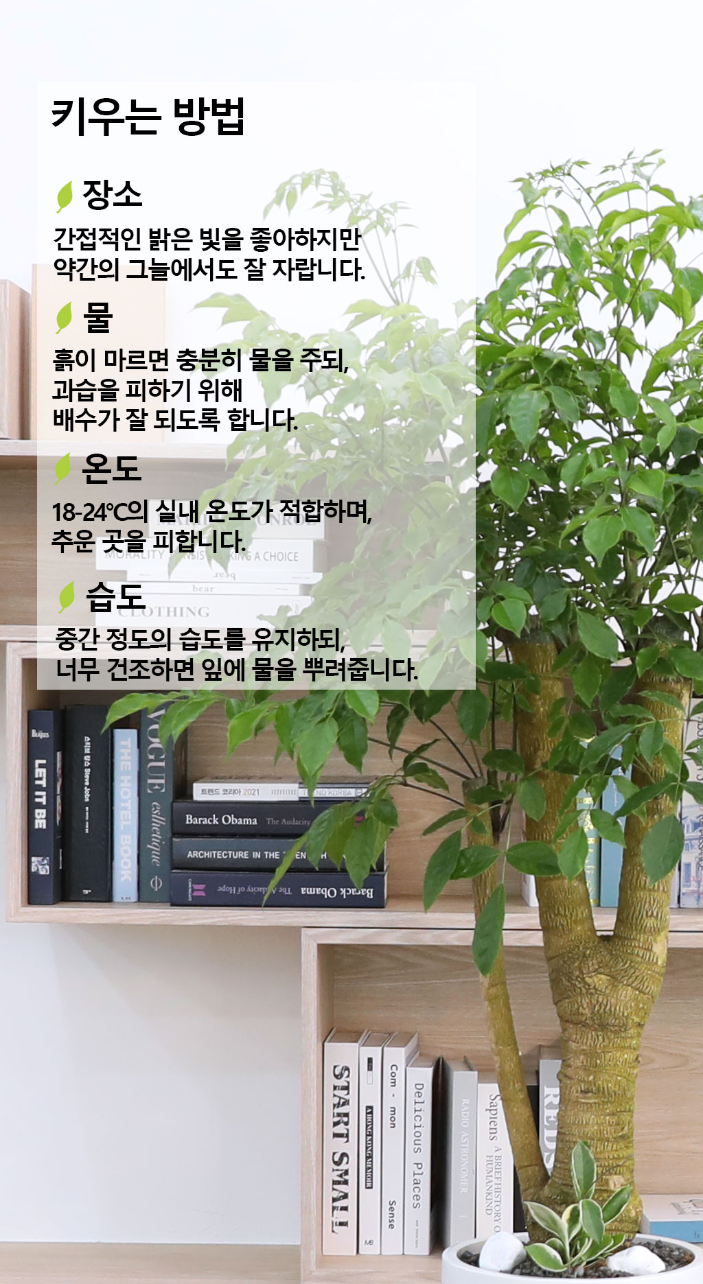 Çູ°ú ±àÁ¤ÀûÀÎ ±â¿îÀÇ ½Ä¹° - ÇØÇÇÆ®¸®(Ư´ë) ²ÉÁý ²É¹è´Þ