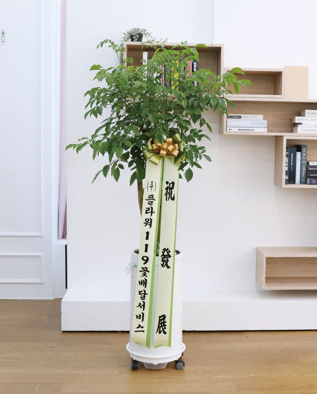 Çູ°ú ±àÁ¤ÀûÀÎ ±â¿îÀÇ ½Ä¹° - ÇØÇÇÆ®¸®(Ư´ë) ²ÉÁý ²É¹è´Þ