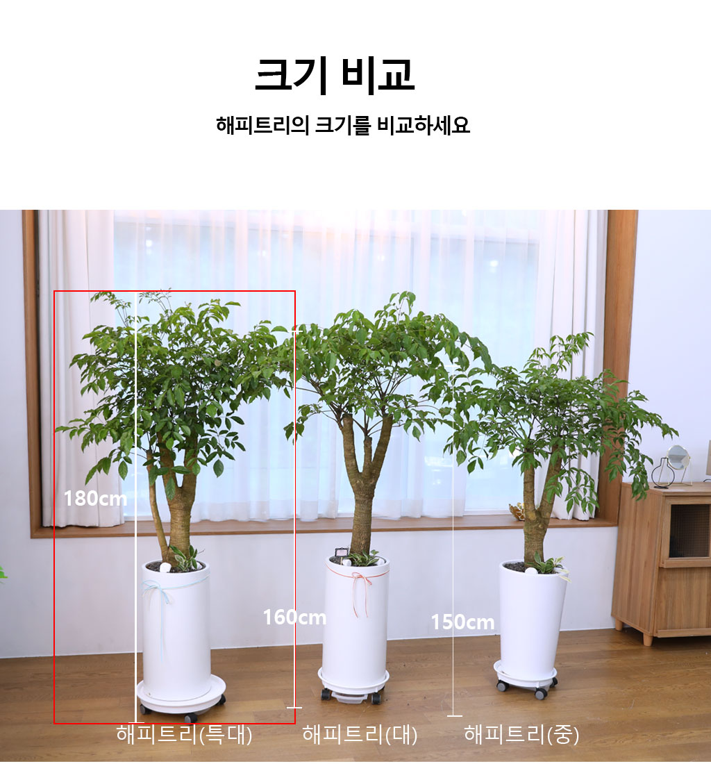 Çູ°ú ±àÁ¤ÀûÀÎ ±â¿îÀÇ ½Ä¹° - ÇØÇÇÆ®¸®(Ư´ë) ²ÉÁý ²É¹è´Þ