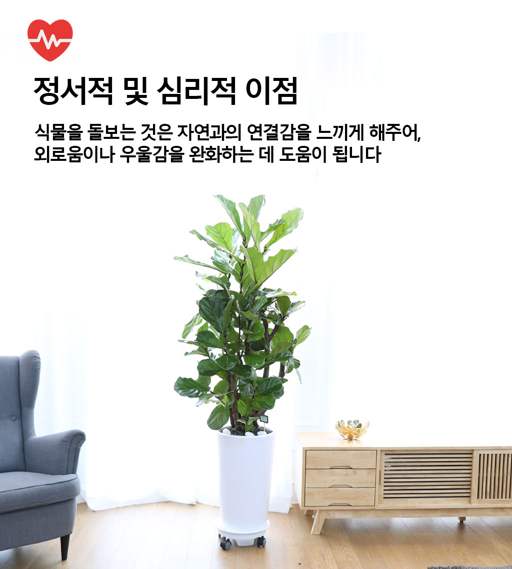 ¿µ¿øÇÑ Çູ°ú º¯ÇÔ¾ø´Â »ç¶û - ¶±°¥ °í¹«³ª¹«(´ë) ²ÉÁý ²É¹è´Þ