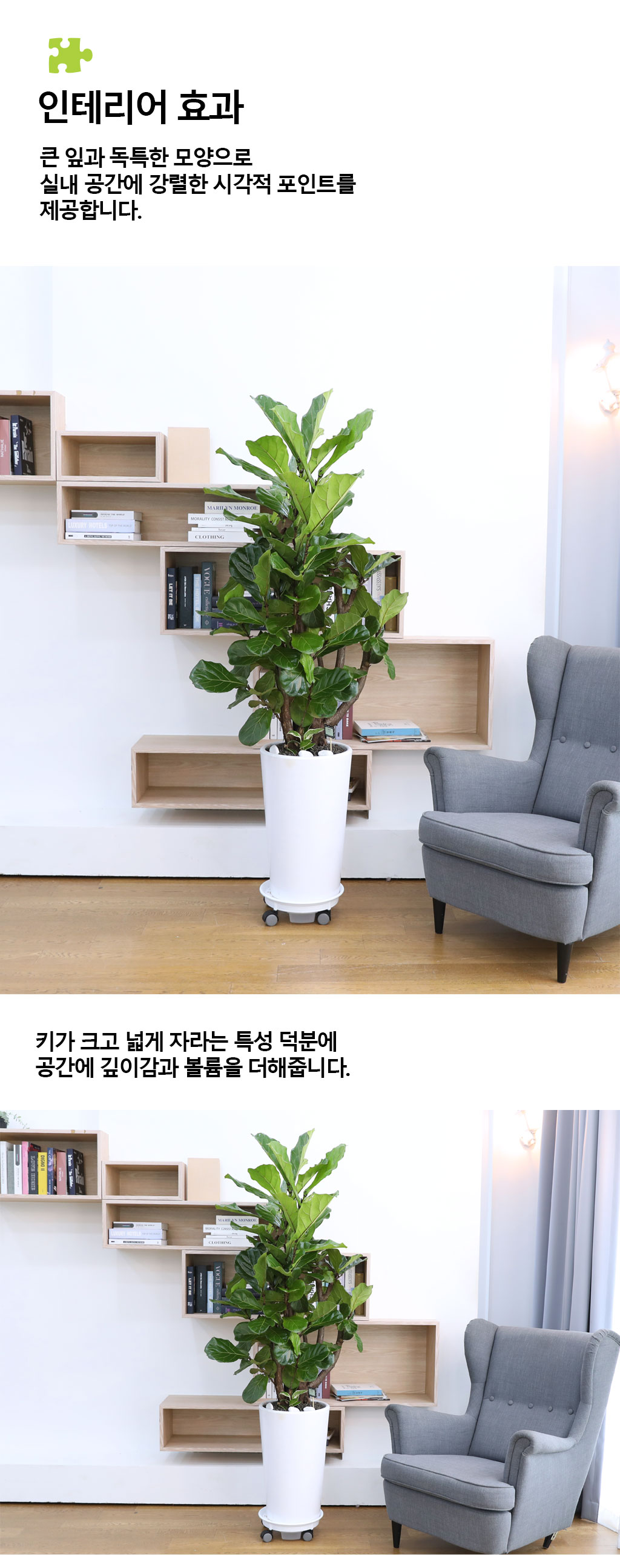 ¿µ¿øÇÑ Çູ°ú º¯ÇÔ¾ø´Â »ç¶û - ¶±°¥ °í¹«³ª¹«(´ë) ²ÉÁý ²É¹è´Þ