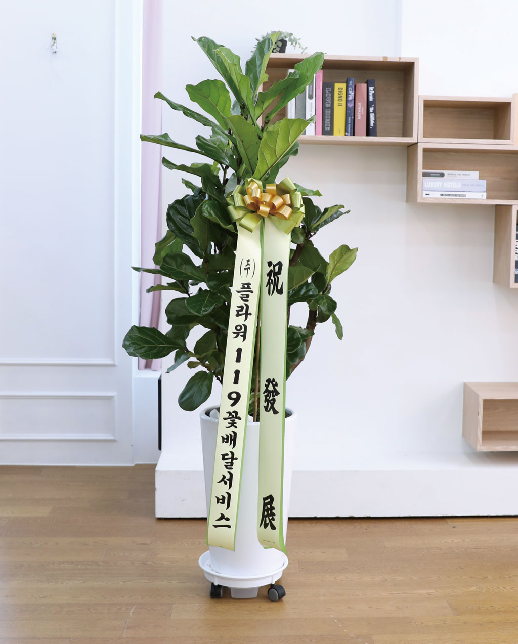 ¿µ¿øÇÑ Çູ°ú º¯ÇÔ¾ø´Â »ç¶û - ¶±°¥ °í¹«³ª¹«(´ë) ²ÉÁý ²É¹è´Þ