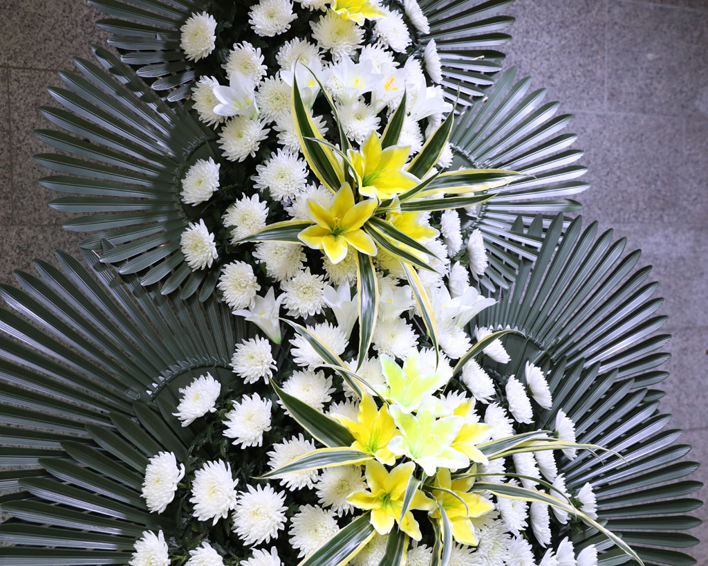 ±íÀº ¾ÖµµÀÇ ¸¶À½ ±ÙÁ¶Èȯ ²ÉÁý ²É¹è´Þ