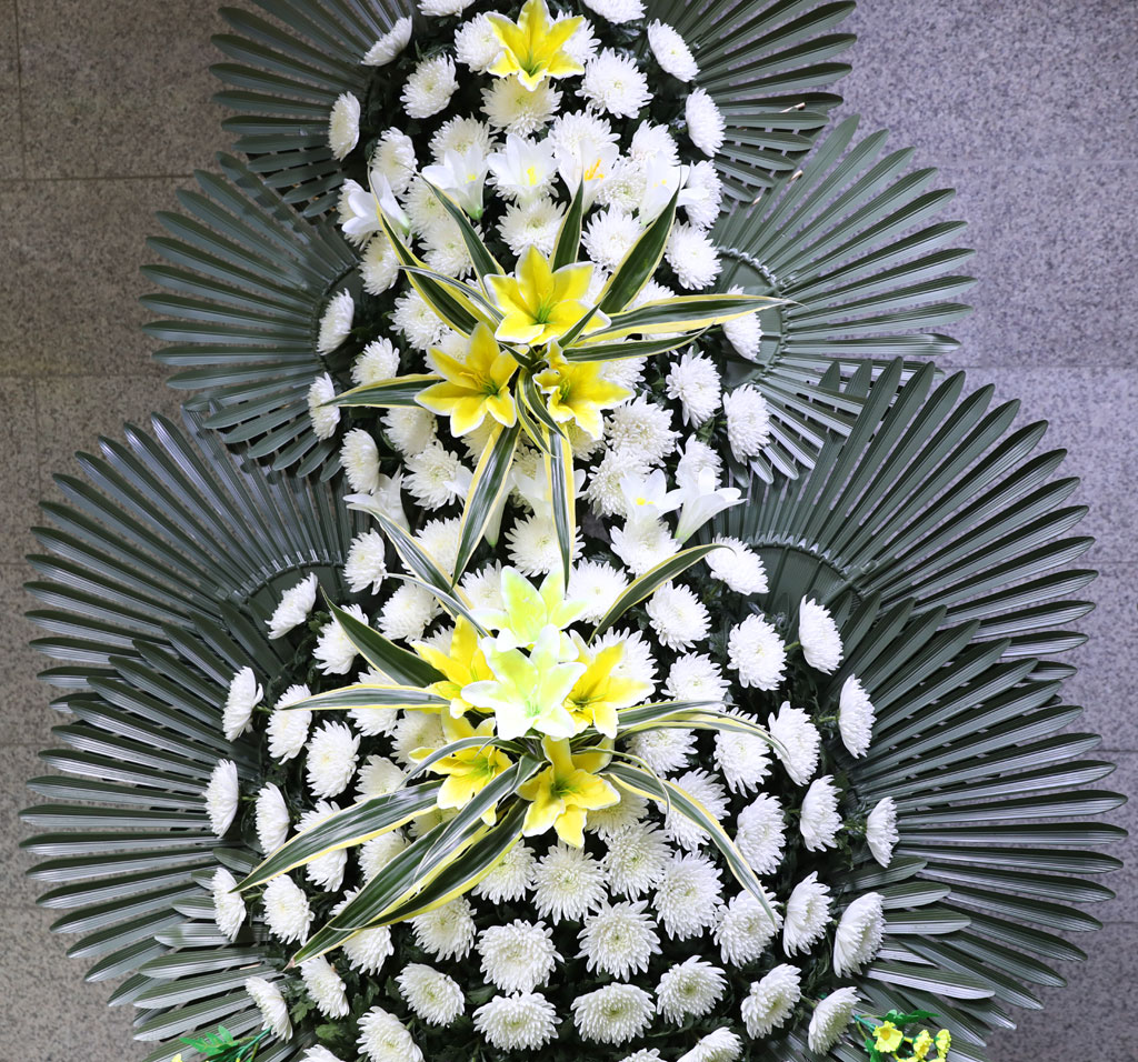 ±íÀº ¾ÖµµÀÇ ¸¶À½ ±ÙÁ¶Èȯ ²ÉÁý ²É¹è´Þ