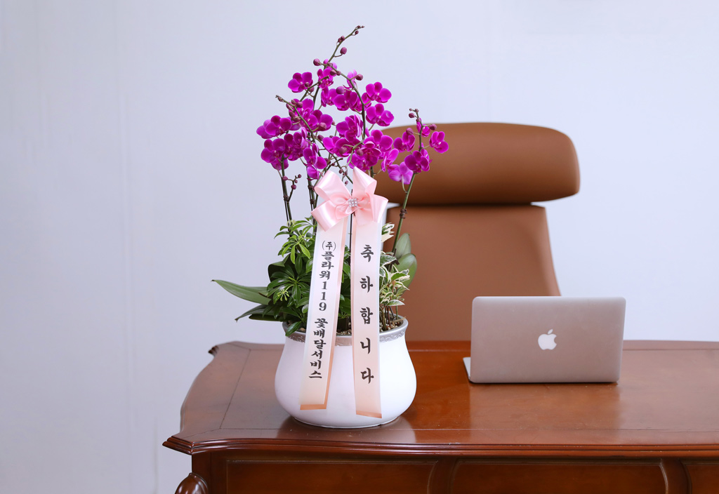 ¼º°øÀÇ Ã¹°ÉÀ½°ú »õ·Î¿î µµ¾àÀ» ÃàÇÏÇÏ´Â, ÁøÇÑ ÇÎÅ© È£Á¢¶õ ¸¸ÃµÈ« ²ÉÁý ²É¹è´Þ