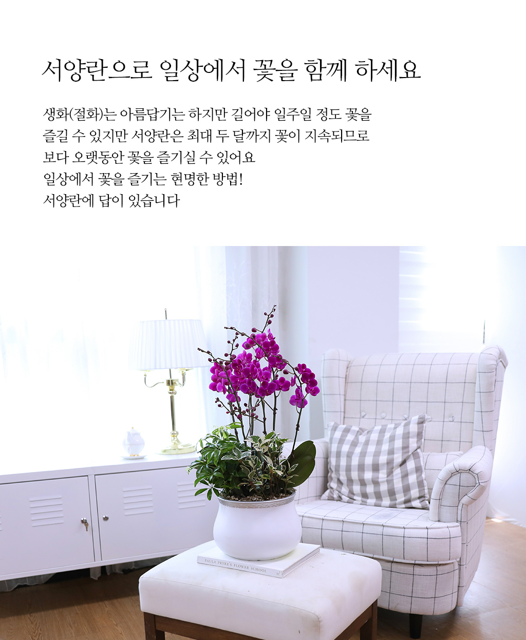 ¼º°øÀÇ Ã¹°ÉÀ½°ú »õ·Î¿î µµ¾àÀ» ÃàÇÏÇÏ´Â, ÁøÇÑ ÇÎÅ© È£Á¢¶õ ¸¸ÃµÈ« ²ÉÁý ²É¹è´Þ