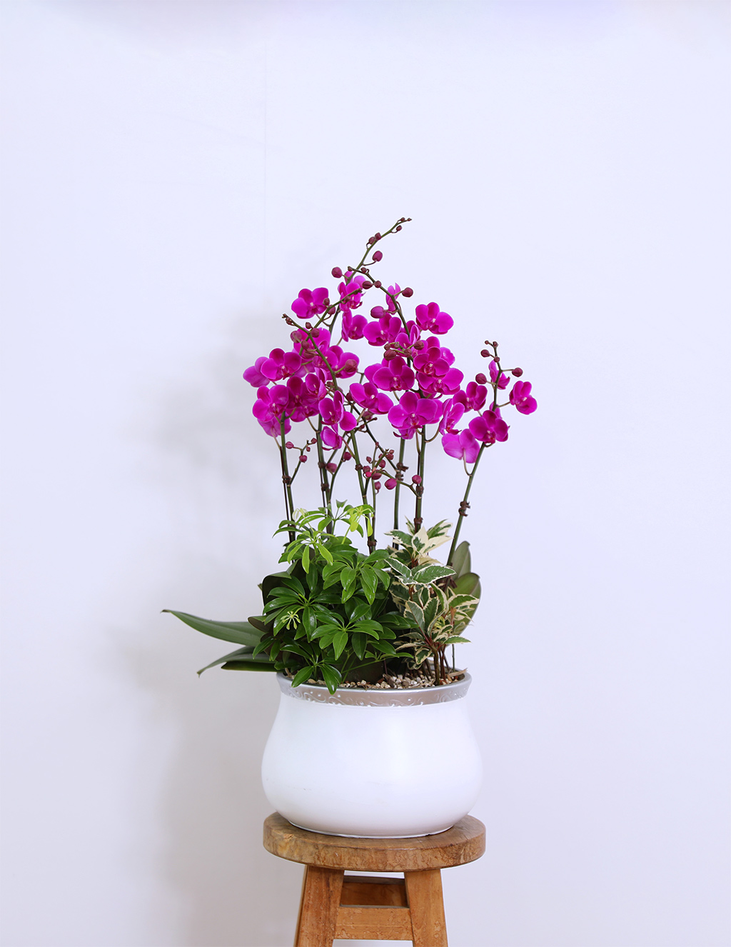 ¼º°øÀÇ Ã¹°ÉÀ½°ú »õ·Î¿î µµ¾àÀ» ÃàÇÏÇÏ´Â, ÁøÇÑ ÇÎÅ© È£Á¢¶õ ¸¸ÃµÈ« ²ÉÁý ²É¹è´Þ