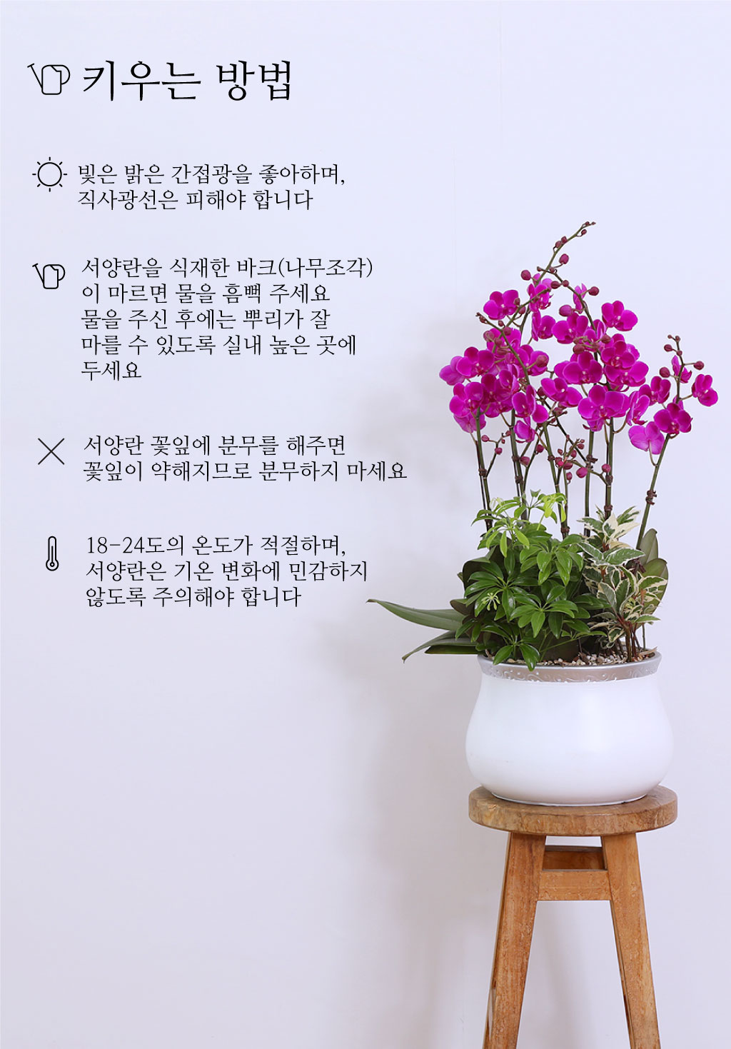 ¼º°øÀÇ Ã¹°ÉÀ½°ú »õ·Î¿î µµ¾àÀ» ÃàÇÏÇÏ´Â, ÁøÇÑ ÇÎÅ© È£Á¢¶õ ¸¸ÃµÈ« ²ÉÁý ²É¹è´Þ