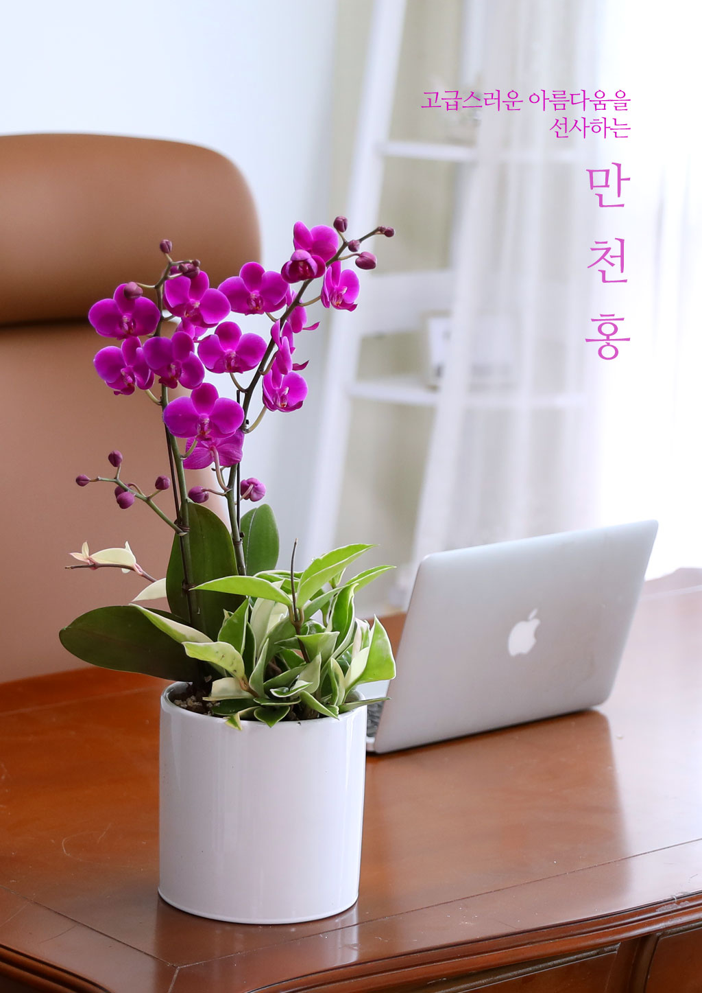 ÃàÇÏÀÇ ¸¶À½À» ´ã¾Æ, °³¾÷°ú ½ÂÁøÀ» À§ÇÑ ÁøÇÑ ÇÎÅ© È£Á¢¶õ ¸¸ÃµÈ« ²ÉÁý ²É¹è´Þ