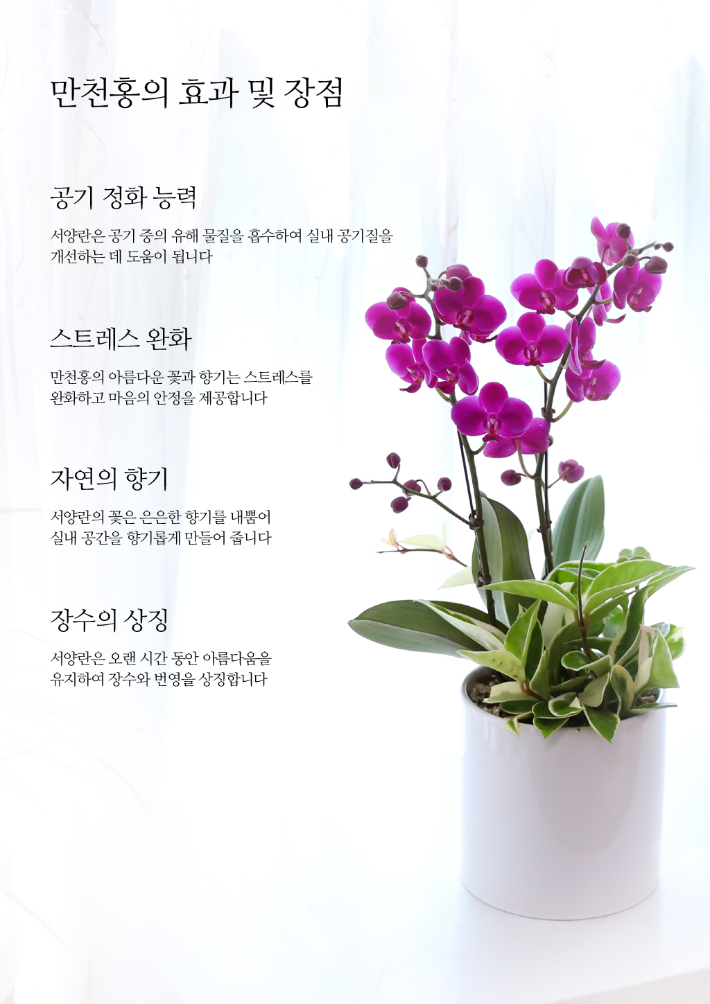 ÃàÇÏÀÇ ¸¶À½À» ´ã¾Æ, °³¾÷°ú ½ÂÁøÀ» À§ÇÑ ÁøÇÑ ÇÎÅ© È£Á¢¶õ ¸¸ÃµÈ« ²ÉÁý ²É¹è´Þ