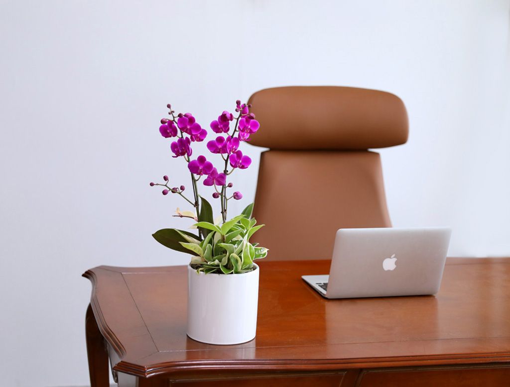 ÃàÇÏÀÇ ¸¶À½À» ´ã¾Æ, °³¾÷°ú ½ÂÁøÀ» À§ÇÑ ÁøÇÑ ÇÎÅ© È£Á¢¶õ ¸¸ÃµÈ« ²ÉÁý ²É¹è´Þ