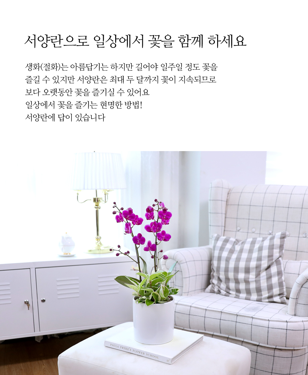 ÃàÇÏÀÇ ¸¶À½À» ´ã¾Æ, °³¾÷°ú ½ÂÁøÀ» À§ÇÑ ÁøÇÑ ÇÎÅ© È£Á¢¶õ ¸¸ÃµÈ« ²ÉÁý ²É¹è´Þ