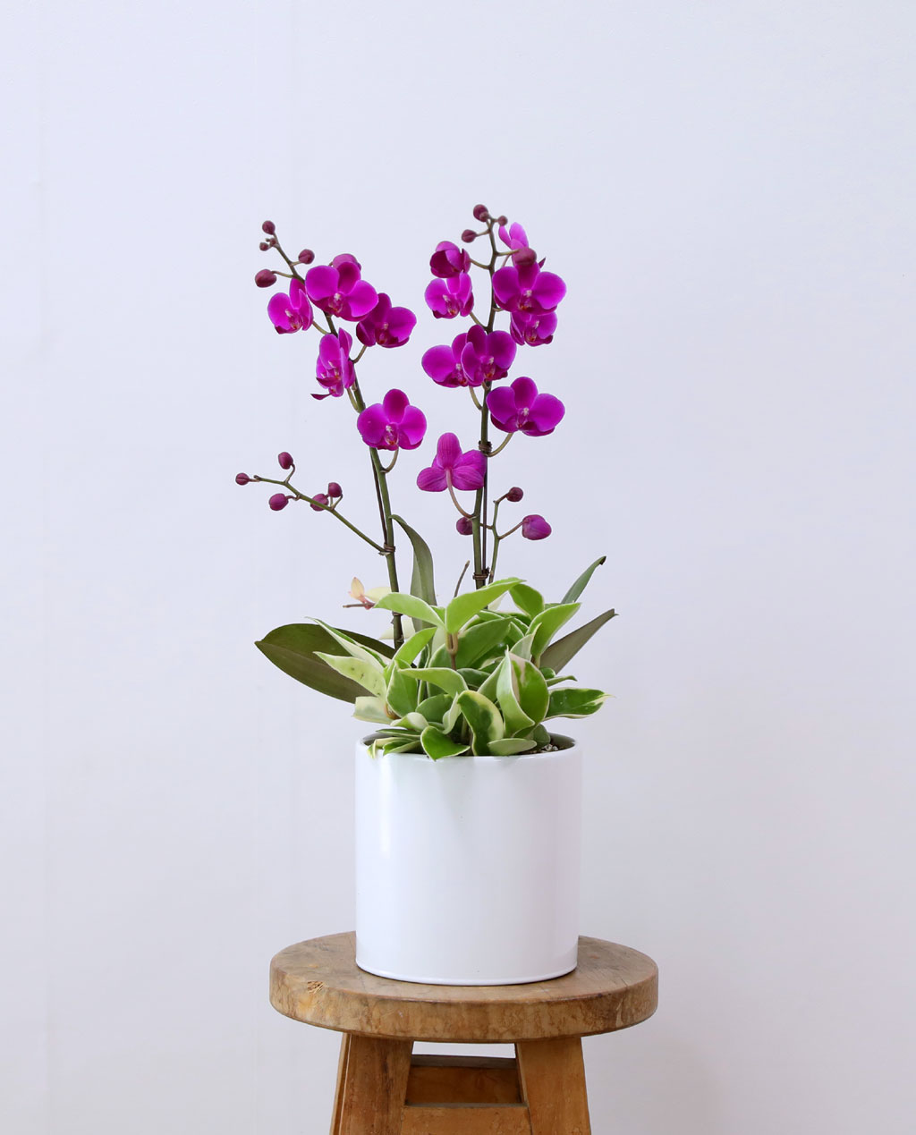 ÃàÇÏÀÇ ¸¶À½À» ´ã¾Æ, °³¾÷°ú ½ÂÁøÀ» À§ÇÑ ÁøÇÑ ÇÎÅ© È£Á¢¶õ ¸¸ÃµÈ« ²ÉÁý ²É¹è´Þ