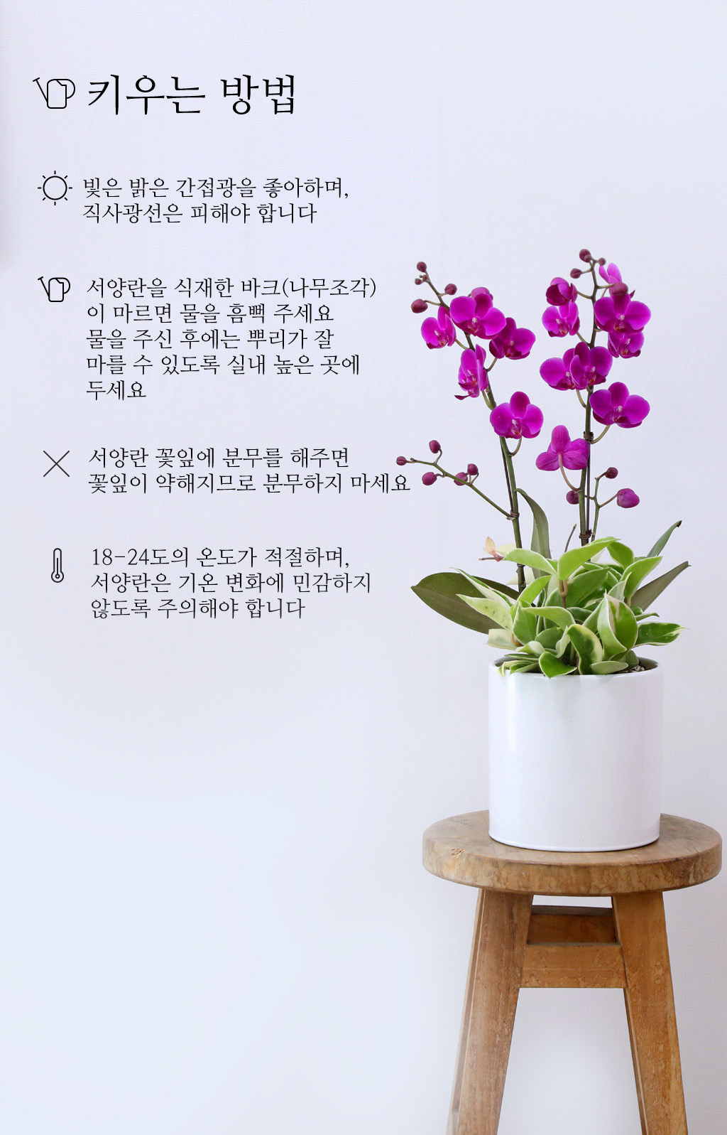 ÃàÇÏÀÇ ¸¶À½À» ´ã¾Æ, °³¾÷°ú ½ÂÁøÀ» À§ÇÑ ÁøÇÑ ÇÎÅ© È£Á¢¶õ ¸¸ÃµÈ« ²ÉÁý ²É¹è´Þ