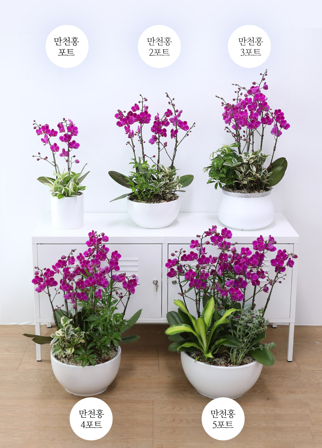 ÃàÇÏÀÇ ¸¶À½À» ´ã¾Æ, °³¾÷°ú ½ÂÁøÀ» À§ÇÑ ÁøÇÑ ÇÎÅ© È£Á¢¶õ ¸¸ÃµÈ« ²ÉÁý ²É¹è´Þ