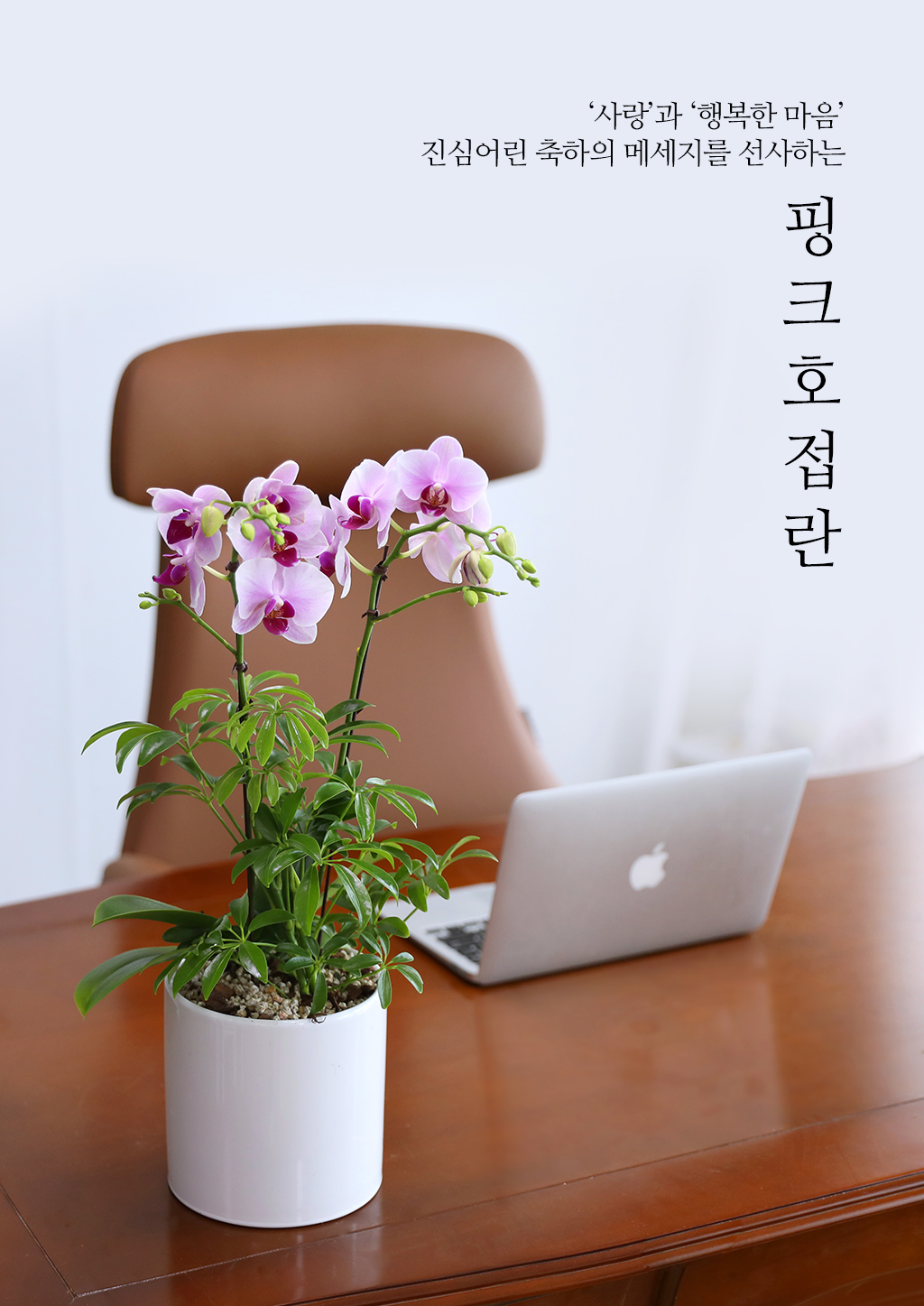 Á¤¼º °¡µæ ´ãÀº ¼±¹°, ÇÎÅ© È£Á¢¶õ