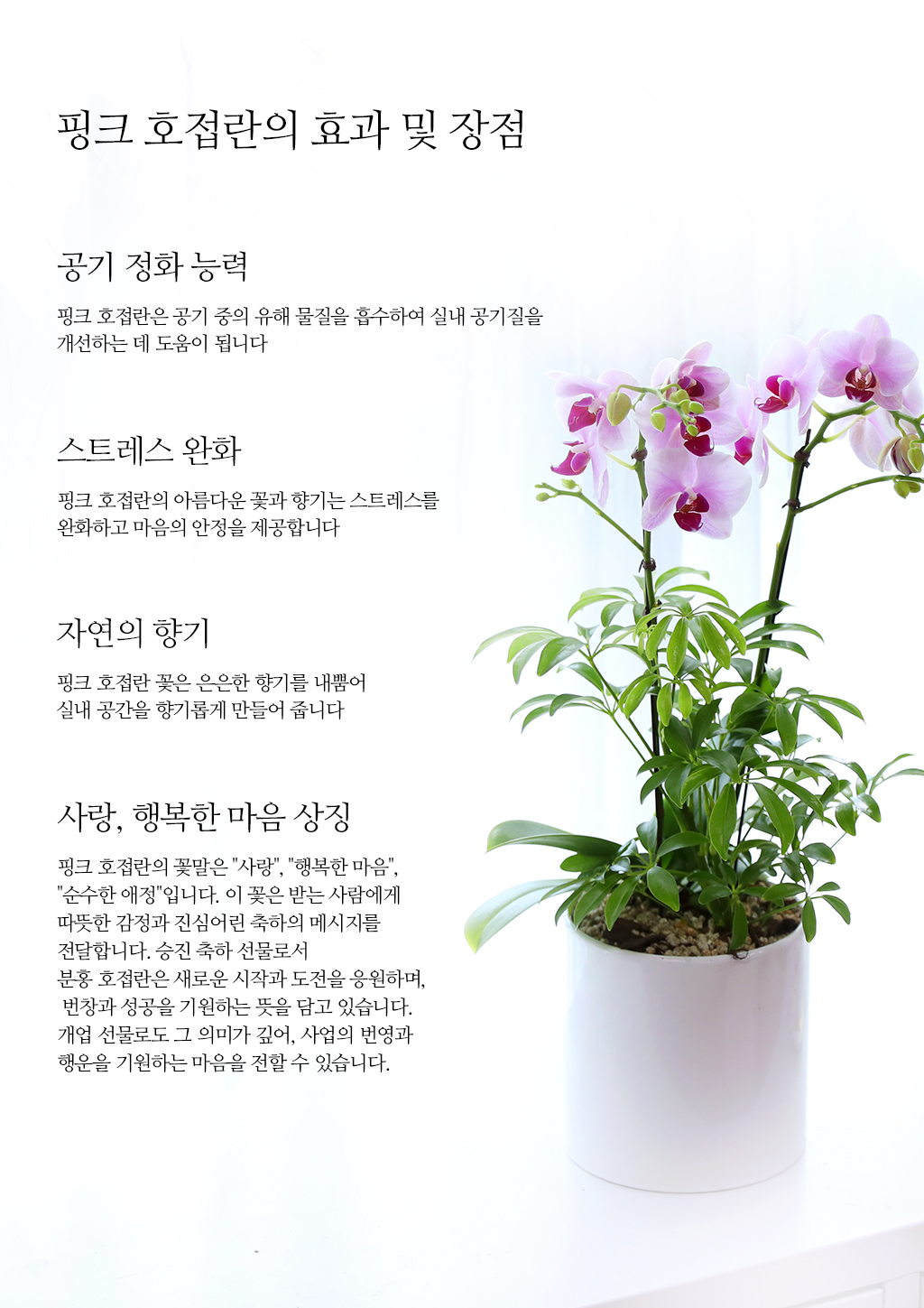 Á¤¼º °¡µæ ´ãÀº ¼±¹°, ÇÎÅ© È£Á¢¶õ