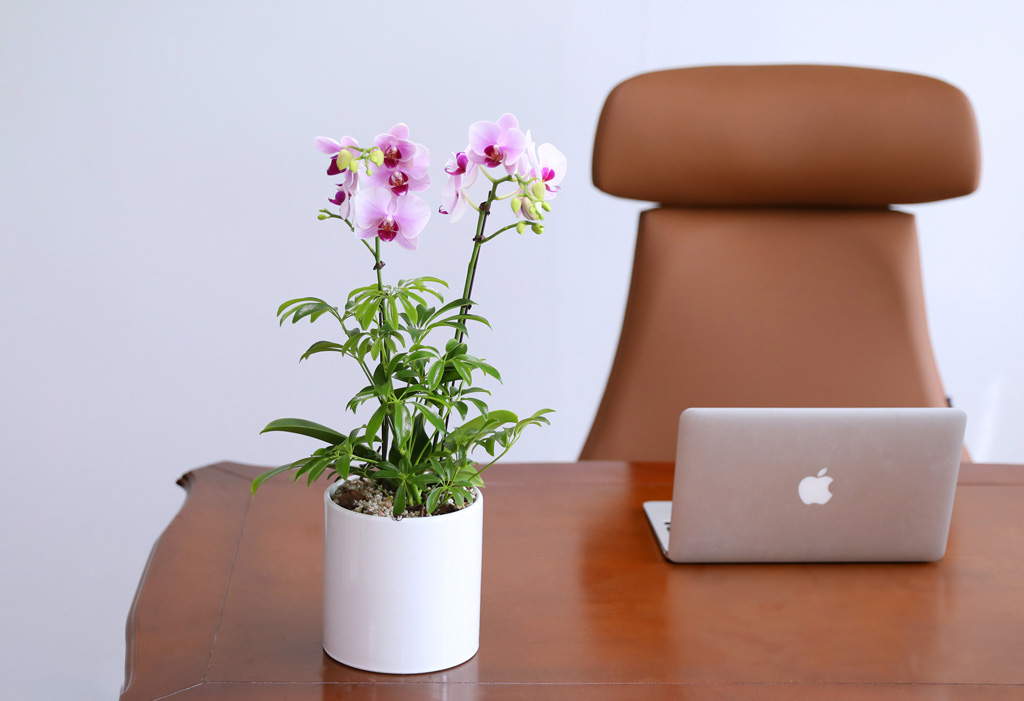 Á¤¼º °¡µæ ´ãÀº ¼±¹°, ÇÎÅ© È£Á¢¶õ