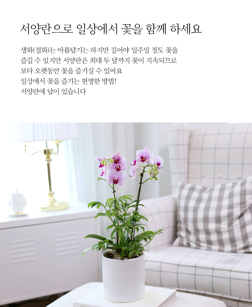 Á¤¼º °¡µæ ´ãÀº ¼±¹°, ÇÎÅ© È£Á¢¶õ