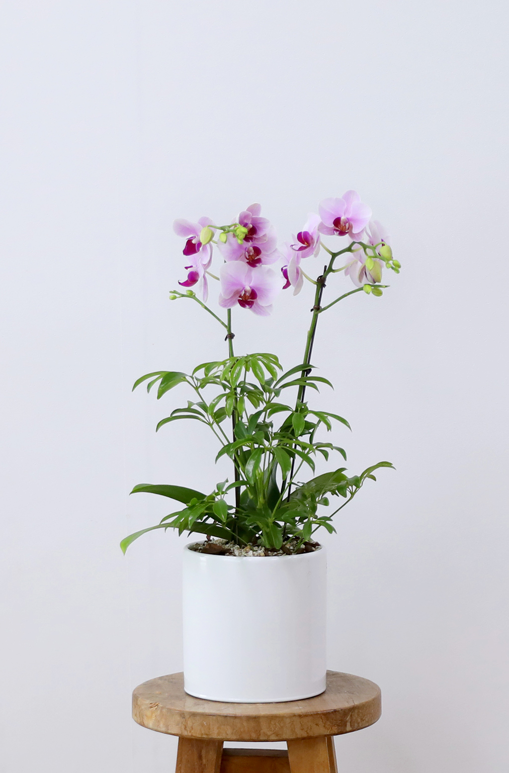 Á¤¼º °¡µæ ´ãÀº ¼±¹°, ÇÎÅ© È£Á¢¶õ