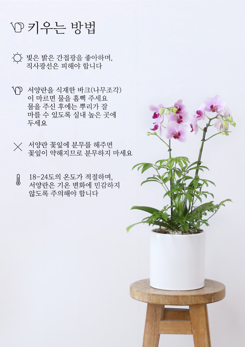 Á¤¼º °¡µæ ´ãÀº ¼±¹°, ÇÎÅ© È£Á¢¶õ