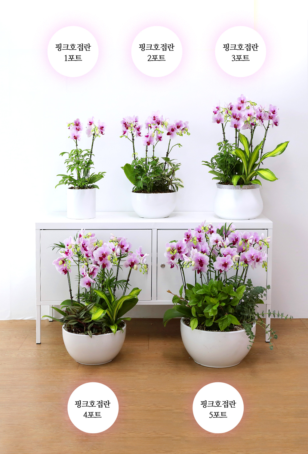 Á¤¼º °¡µæ ´ãÀº ¼±¹°, ÇÎÅ© È£Á¢¶õ