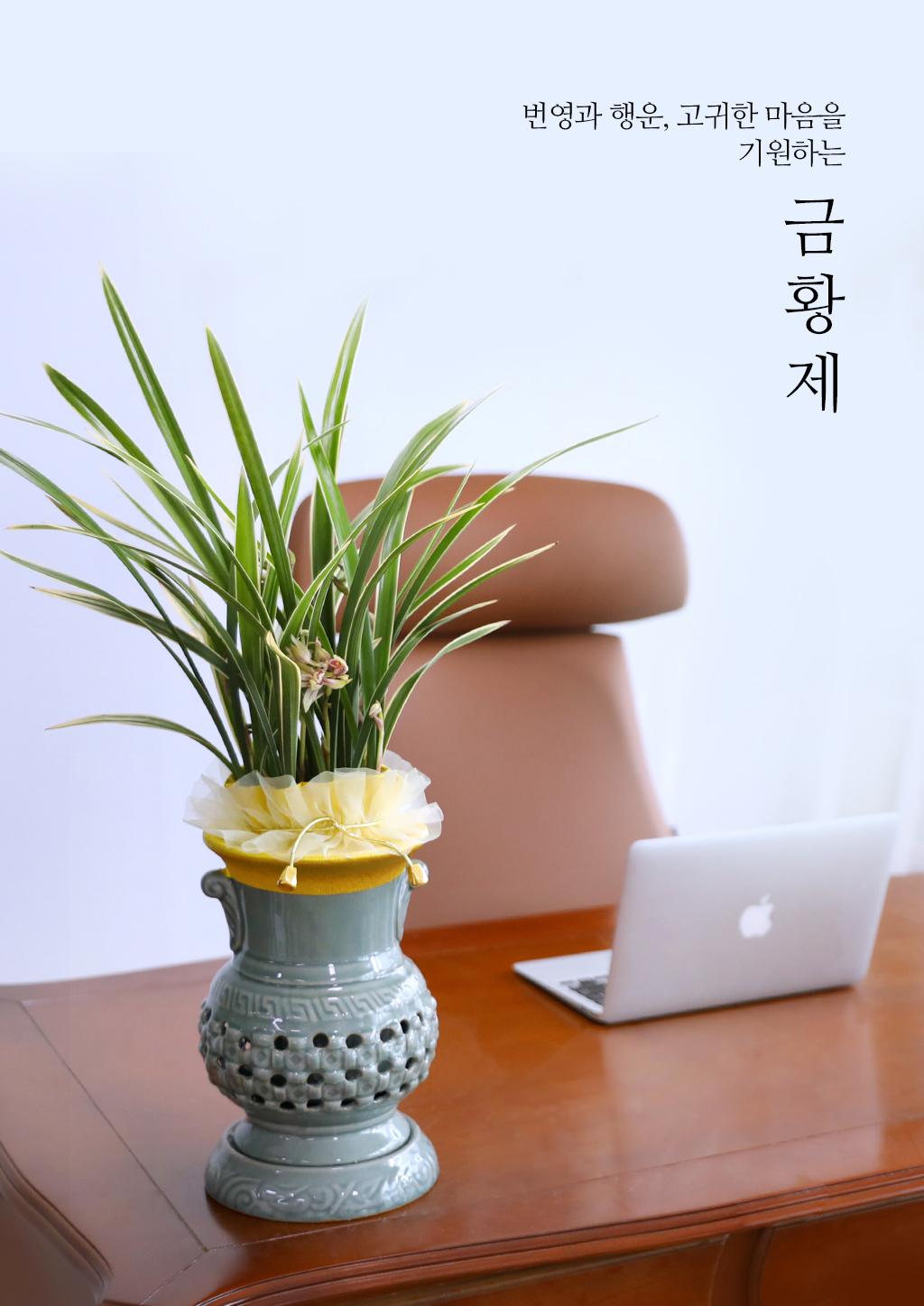 ¼º°ø°ú ¹ø¿µÀ» ±â¿øÇϴ Ȳ±Ýºû ¼±¹°, µ¿¾ç¶õ ±ÝȲÁ¦ ²ÉÁý ²É¹è´Þ