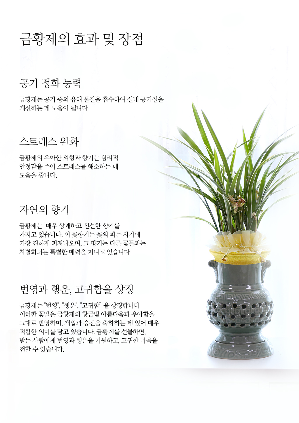 ¼º°ø°ú ¹ø¿µÀ» ±â¿øÇϴ Ȳ±Ýºû ¼±¹°, µ¿¾ç¶õ ±ÝȲÁ¦ ²ÉÁý ²É¹è´Þ