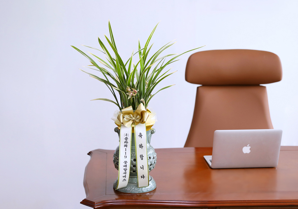 ¼º°ø°ú ¹ø¿µÀ» ±â¿øÇϴ Ȳ±Ýºû ¼±¹°, µ¿¾ç¶õ ±ÝȲÁ¦ ²ÉÁý ²É¹è´Þ