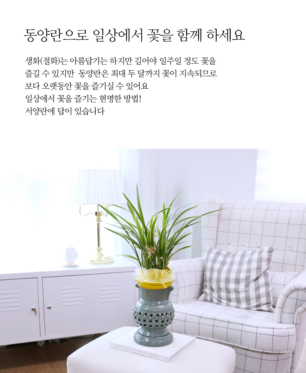 ¼º°ø°ú ¹ø¿µÀ» ±â¿øÇϴ Ȳ±Ýºû ¼±¹°, µ¿¾ç¶õ ±ÝȲÁ¦ ²ÉÁý ²É¹è´Þ