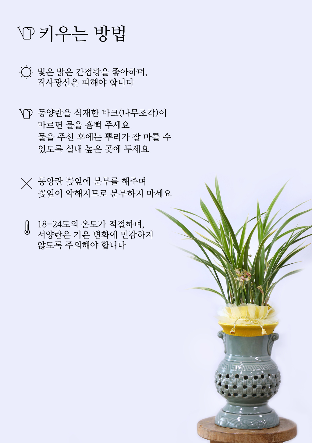 ¼º°ø°ú ¹ø¿µÀ» ±â¿øÇϴ Ȳ±Ýºû ¼±¹°, µ¿¾ç¶õ ±ÝȲÁ¦ ²ÉÁý ²É¹è´Þ