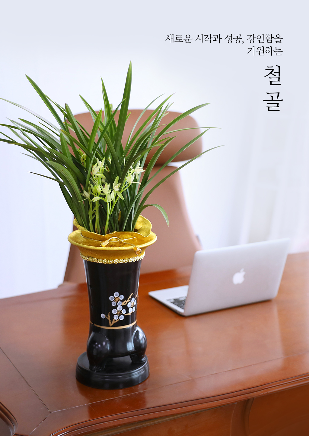 °í±Þ½º·¯¿î ¾Æ¸§´Ù¿ò, µ¿¾ç¶õ ö°ñ·Î Ưº°ÇÑ ÃàÇϸ¦ ²ÉÁý ²É¹è´Þ