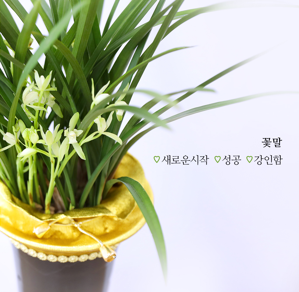 °í±Þ½º·¯¿î ¾Æ¸§´Ù¿ò, µ¿¾ç¶õ ö°ñ·Î Ưº°ÇÑ ÃàÇϸ¦ ²ÉÁý ²É¹è´Þ