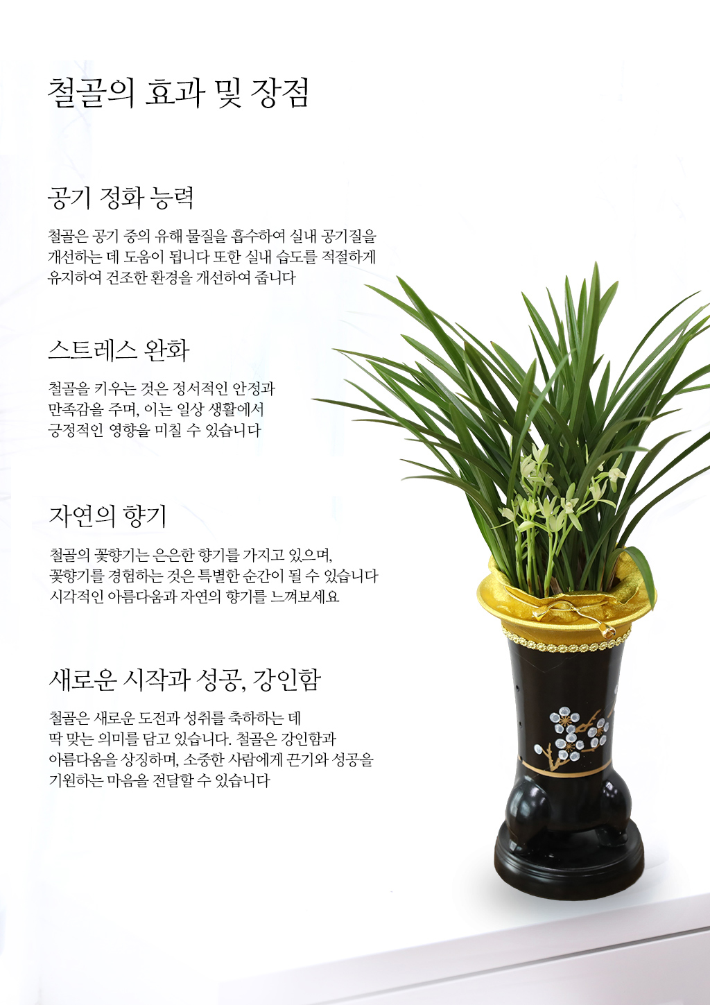 °í±Þ½º·¯¿î ¾Æ¸§´Ù¿ò, µ¿¾ç¶õ ö°ñ·Î Ưº°ÇÑ ÃàÇϸ¦ ²ÉÁý ²É¹è´Þ