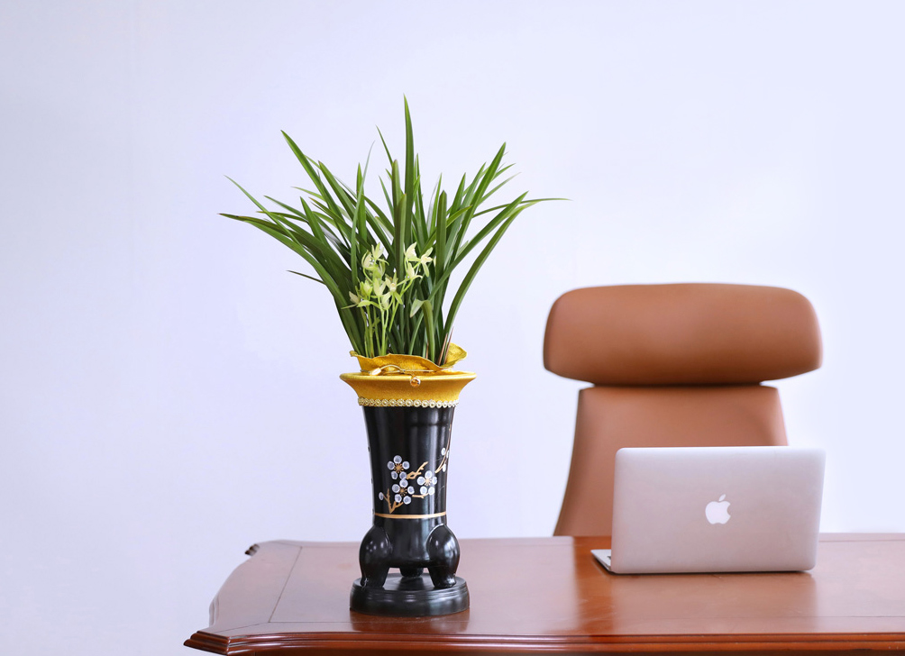 °í±Þ½º·¯¿î ¾Æ¸§´Ù¿ò, µ¿¾ç¶õ ö°ñ·Î Ưº°ÇÑ ÃàÇϸ¦ ²ÉÁý ²É¹è´Þ