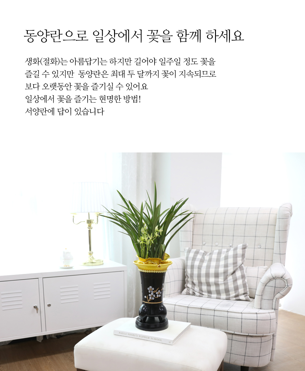 °í±Þ½º·¯¿î ¾Æ¸§´Ù¿ò, µ¿¾ç¶õ ö°ñ·Î Ưº°ÇÑ ÃàÇϸ¦ ²ÉÁý ²É¹è´Þ