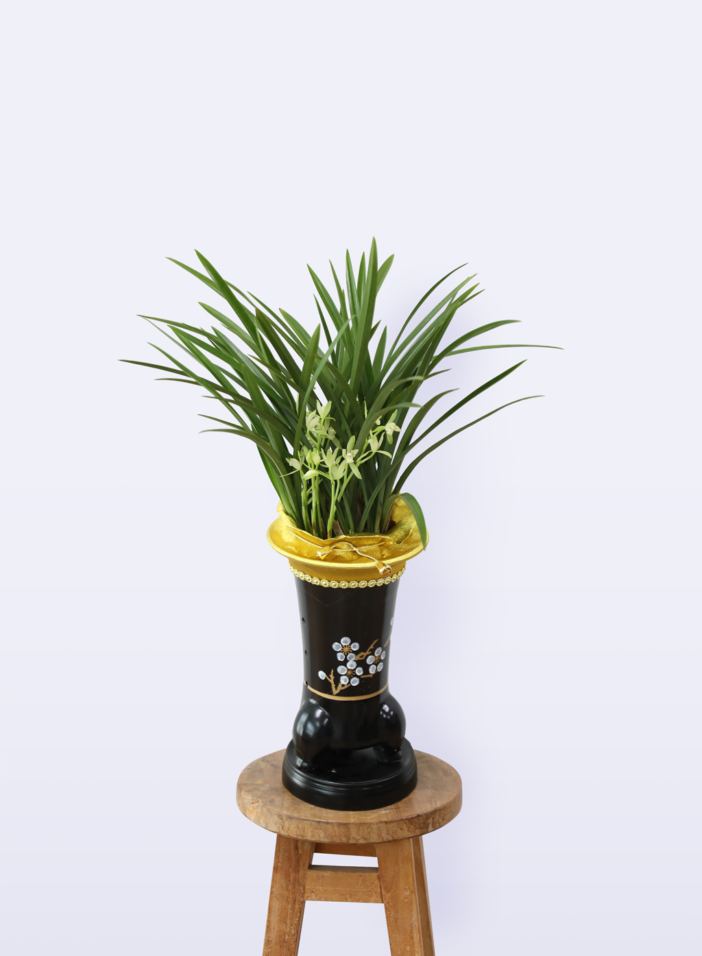 °í±Þ½º·¯¿î ¾Æ¸§´Ù¿ò, µ¿¾ç¶õ ö°ñ·Î Ưº°ÇÑ ÃàÇϸ¦ ²ÉÁý ²É¹è´Þ