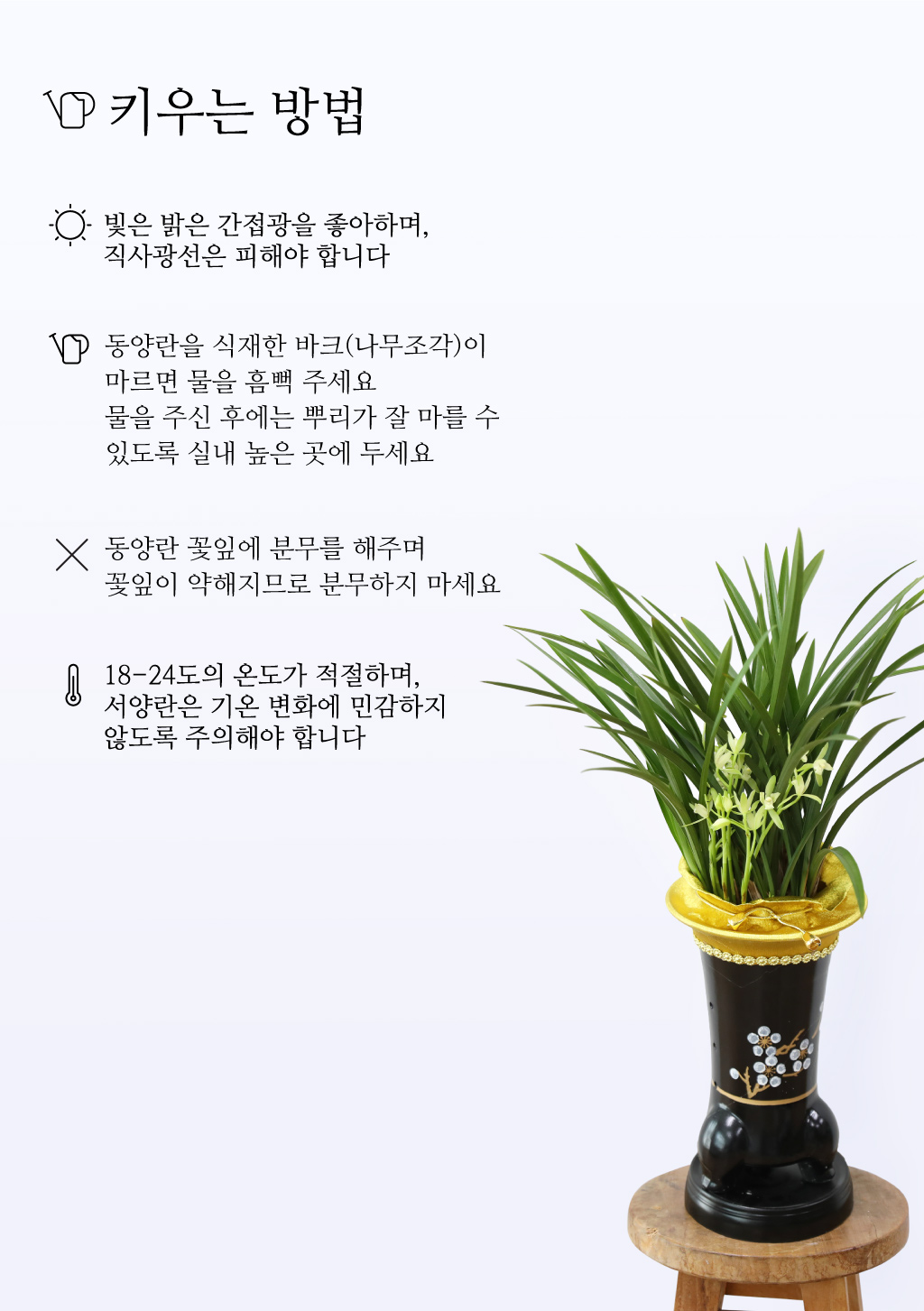 °í±Þ½º·¯¿î ¾Æ¸§´Ù¿ò, µ¿¾ç¶õ ö°ñ·Î Ưº°ÇÑ ÃàÇϸ¦ ²ÉÁý ²É¹è´Þ