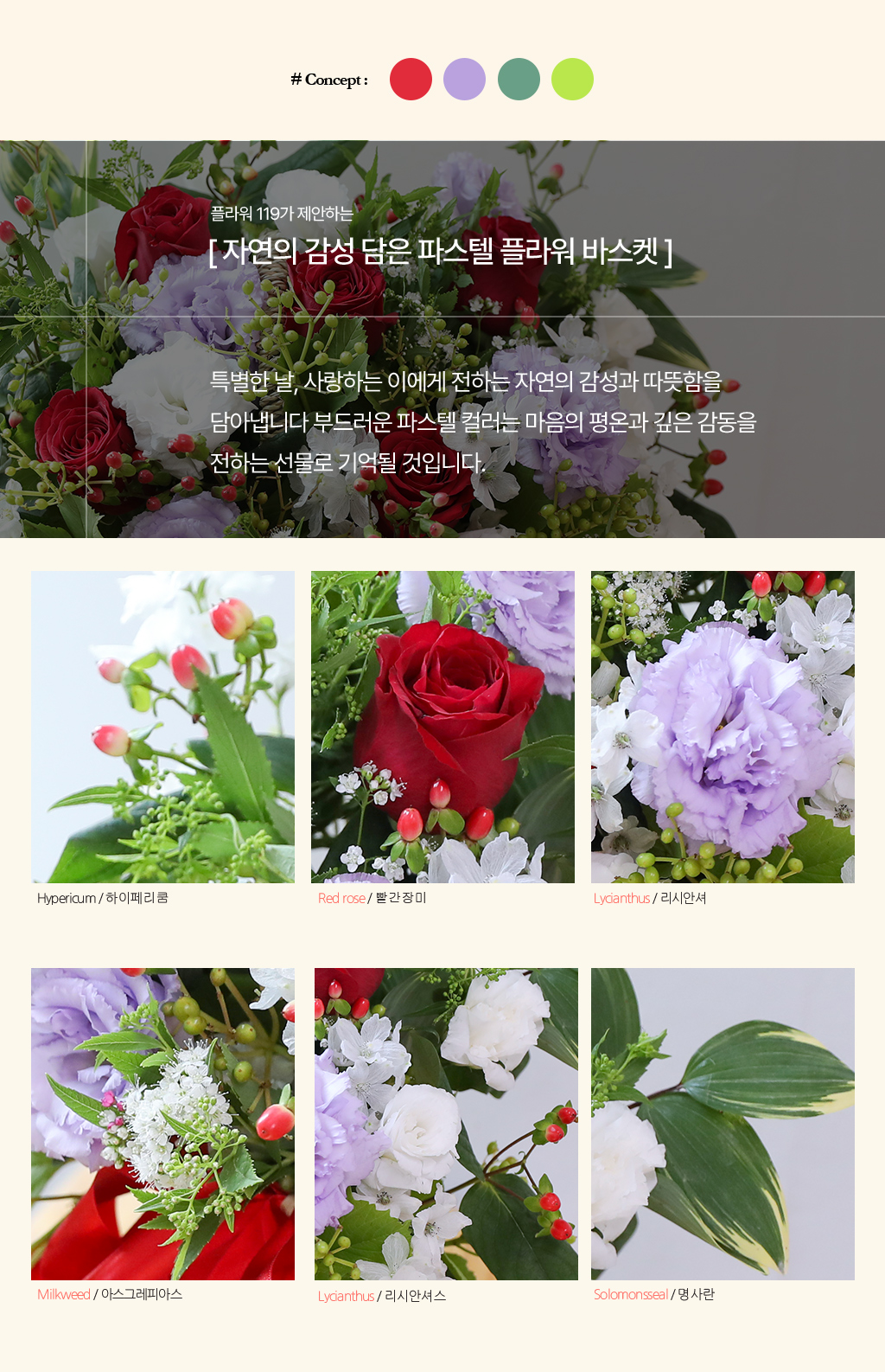 Sunny Smiles  ̼  ɹ