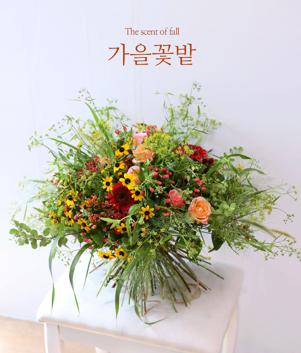 Harvest Bloom ɹ  ɹ