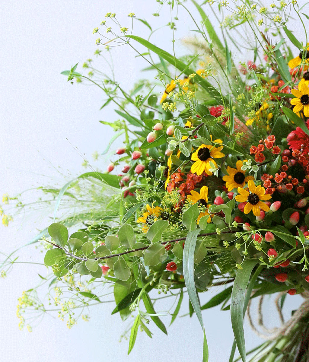 Harvest Bloom ɹ  ɹ