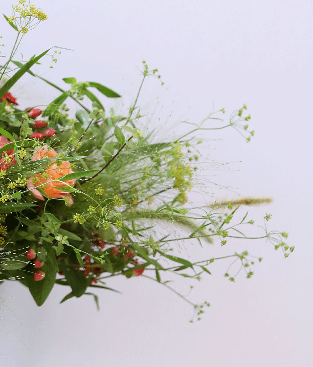 Harvest Bloom ɹ  ɹ