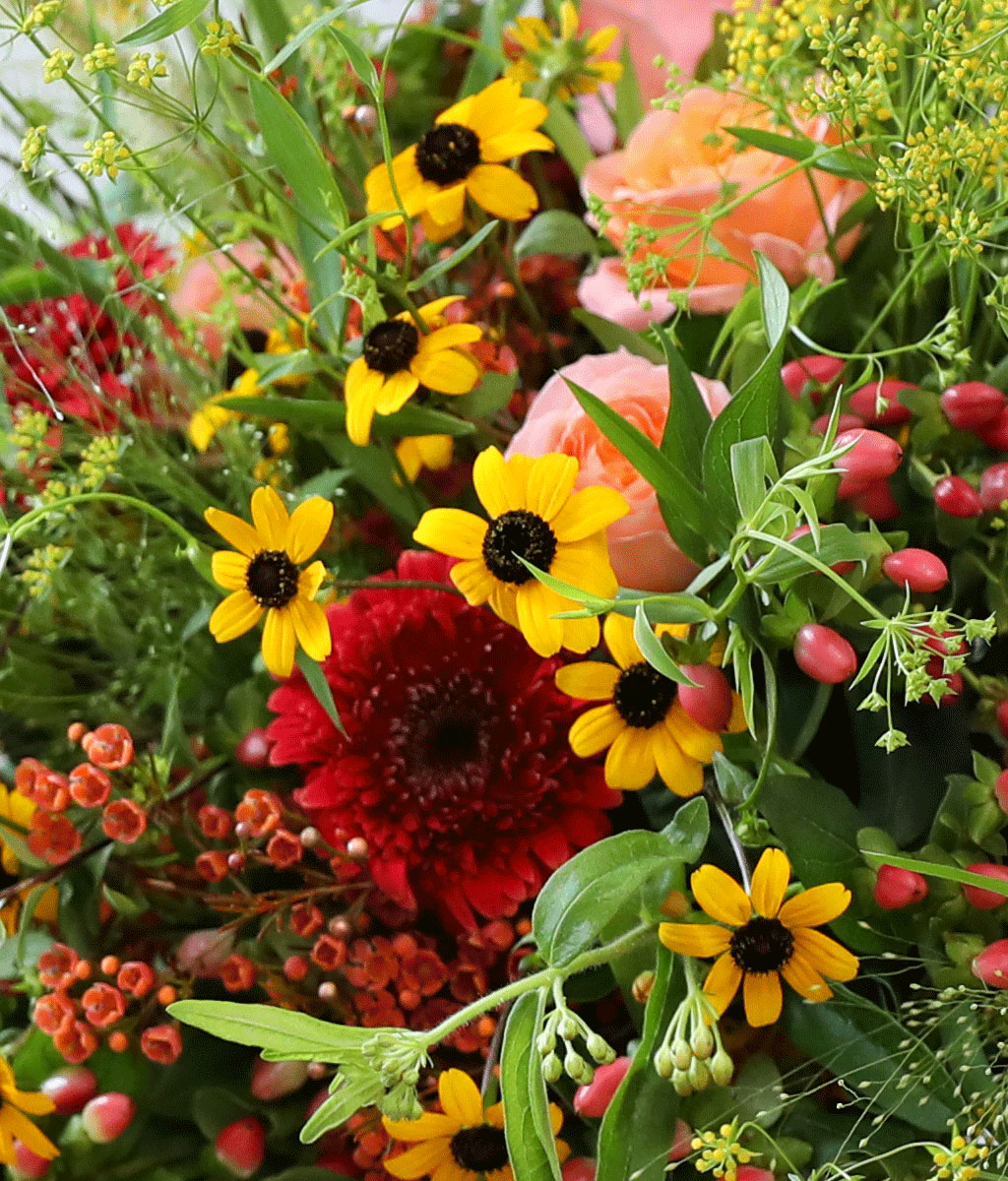 Harvest Bloom ɹ  ɹ