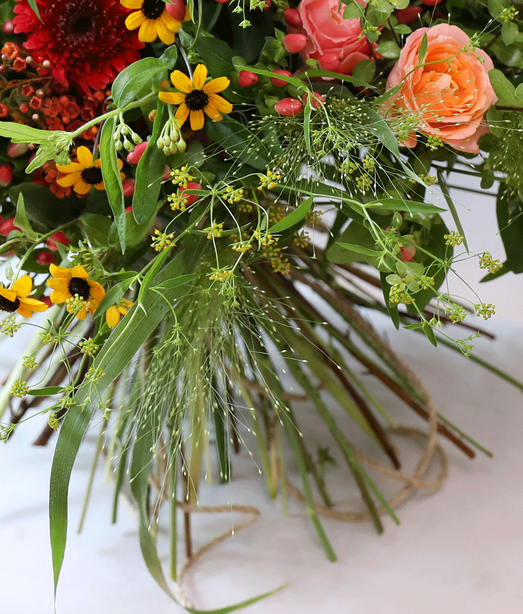 Harvest Bloom ɹ  ɹ