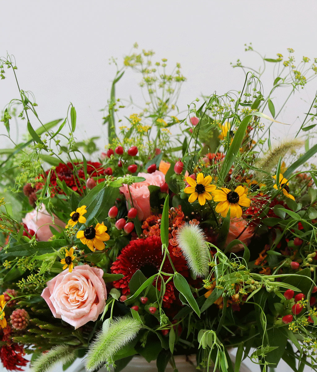 Autumn Garden Elegance °¡À» Á¤¿ø¿¡¼