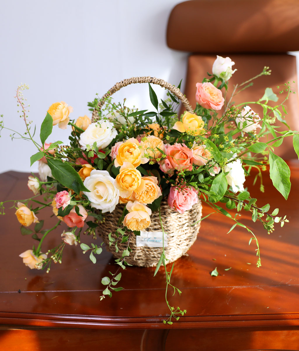 Coral Autumn Bliss    ɹ