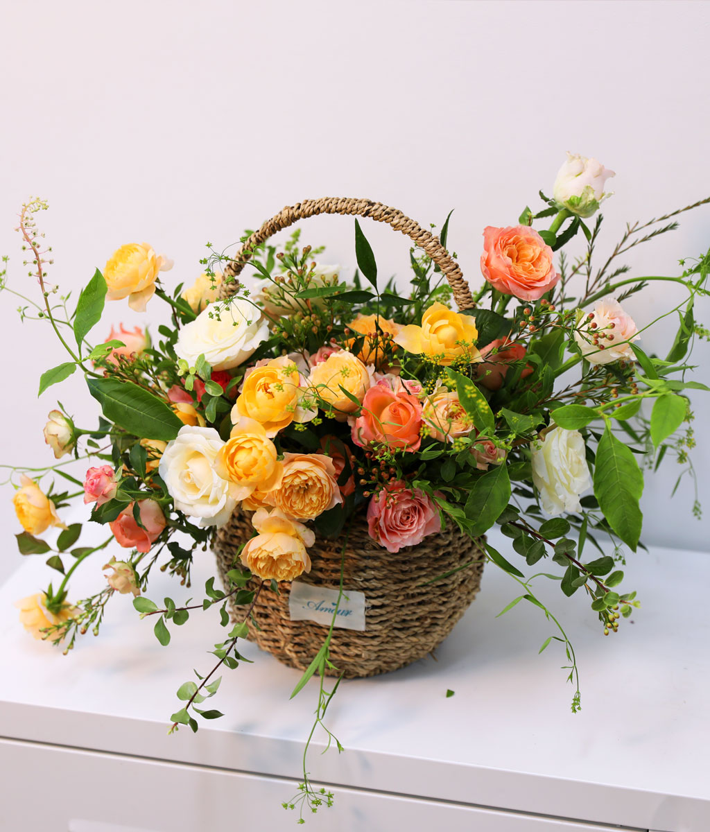 Coral Autumn Bliss    ɹ