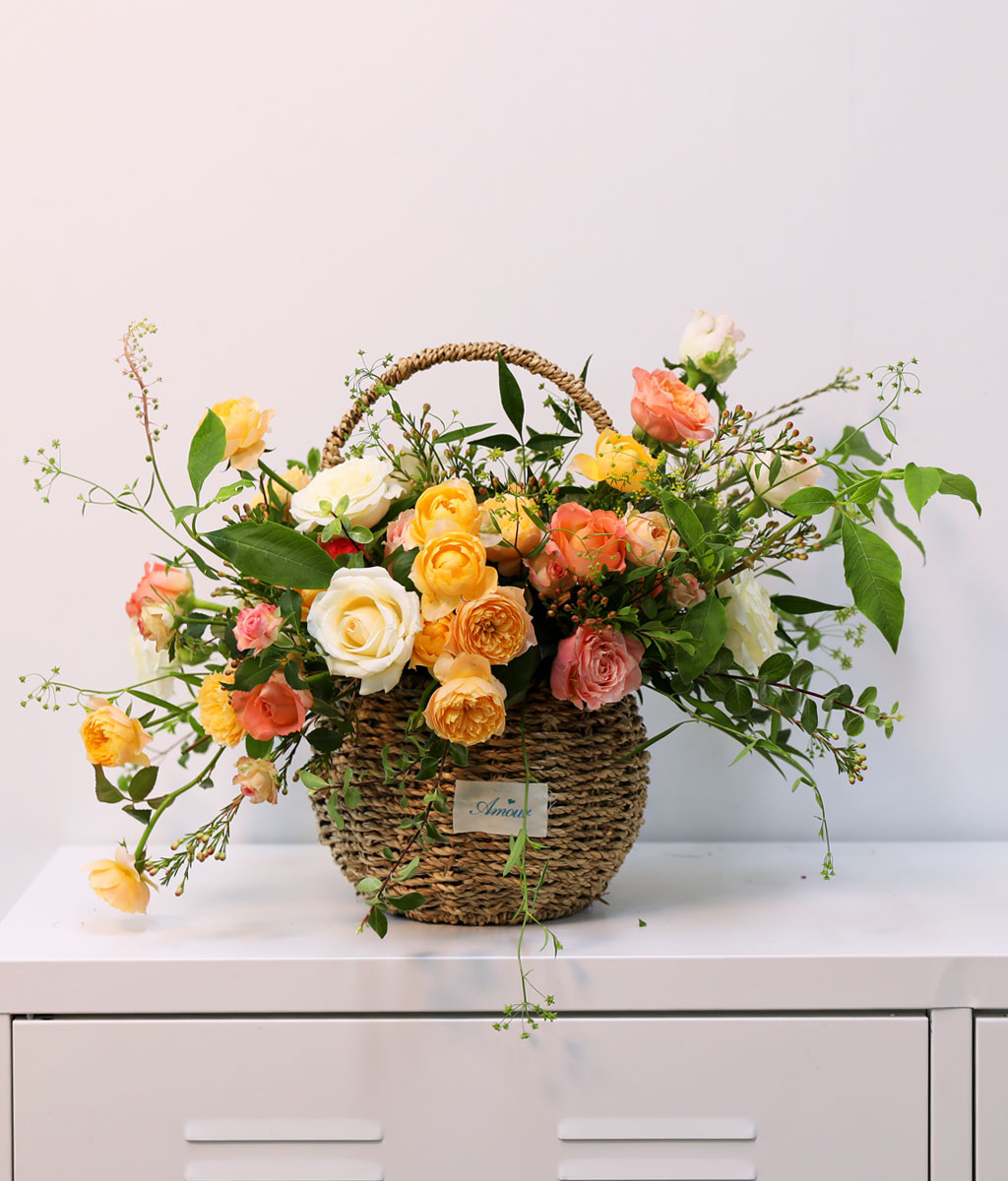 Coral Autumn Bliss    ɹ