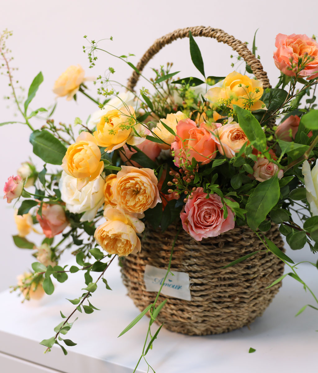 Coral Autumn Bliss    ɹ